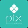 PIX PDV